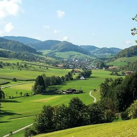 Zum Wilden Mann 宾馆 Welschensteinach